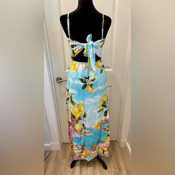 NWT Paper Heart seaside beach scene Lemoncello linen blend Maxi Dress - S - Picture 5 of 15